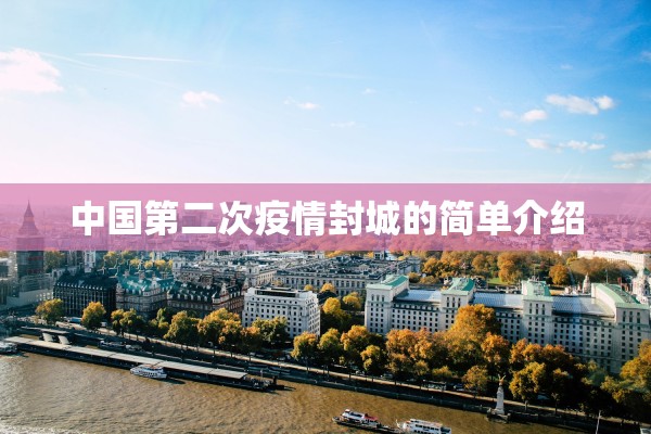 中国第二次疫情封城的简单介绍
