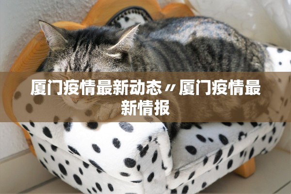 厦门疫情最新动态〃厦门疫情最新情报