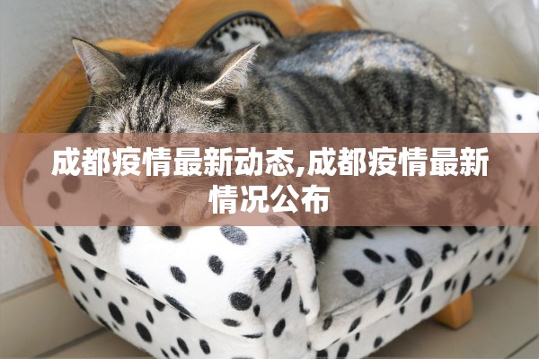 成都疫情最新动态,成都疫情最新情况公布