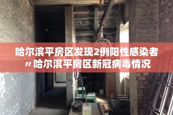 哈尔滨平房区发现2例阳性感染者〃哈尔滨平房区新冠病毒情况