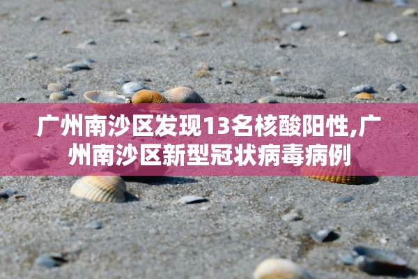 广州南沙区发现13名核酸阳性,广州南沙区新型冠状病毒病例