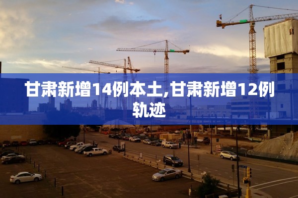 甘肃新增14例本土,甘肃新增12例轨迹