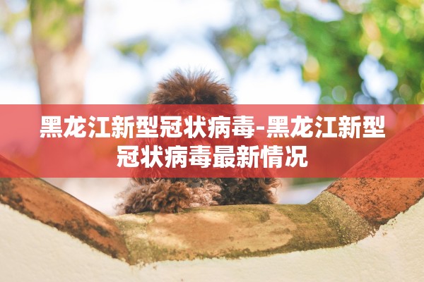 黑龙江新型冠状病毒-黑龙江新型冠状病毒最新情况
