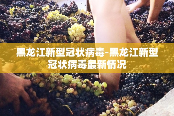 黑龙江新型冠状病毒-黑龙江新型冠状病毒最新情况