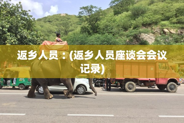 返乡人员︰(返乡人员座谈会会议记录)