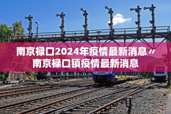 南京禄口2024年疫情最新消息〃南京禄口镇疫情最新消息