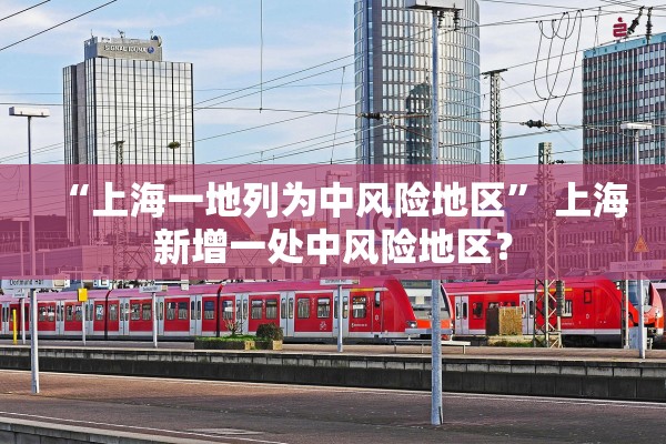 “上海一地列为中风险地区	” 上海新增一处中风险地区？