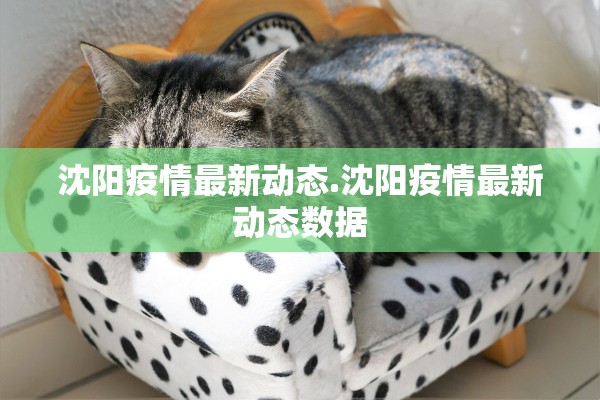 沈阳疫情最新动态.沈阳疫情最新动态数据