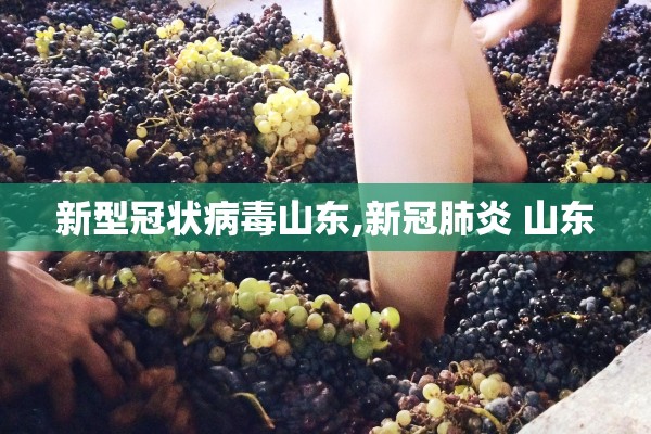 新型冠状病毒山东,新冠肺炎 山东