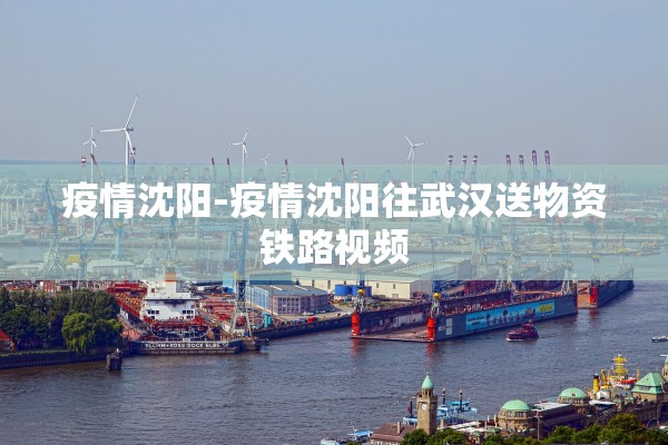 疫情沈阳-疫情沈阳往武汉送物资铁路视频