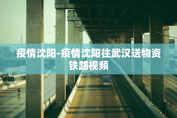 疫情沈阳-疫情沈阳往武汉送物资铁路视频