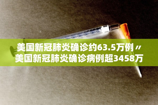 美国新冠肺炎确诊约63.5万例〃美国新冠肺炎确诊病例超3458万例
