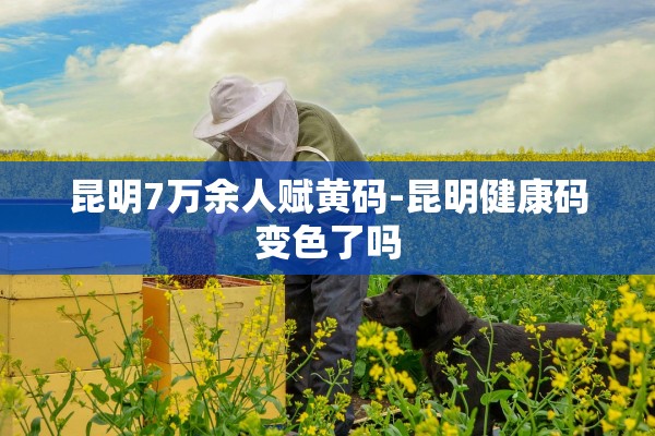 昆明7万余人赋黄码-昆明健康码变色了吗