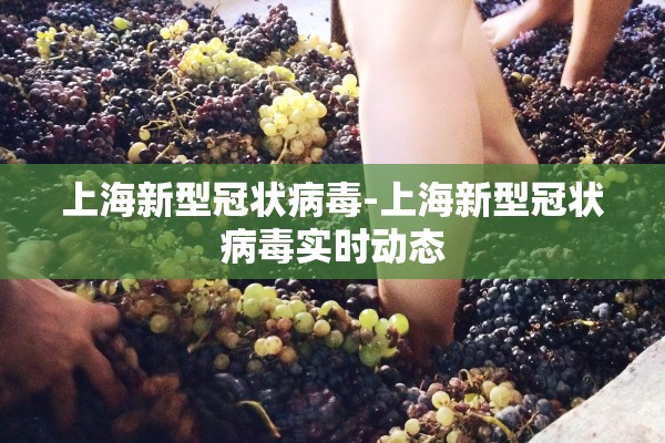 上海新型冠状病毒-上海新型冠状病毒实时动态