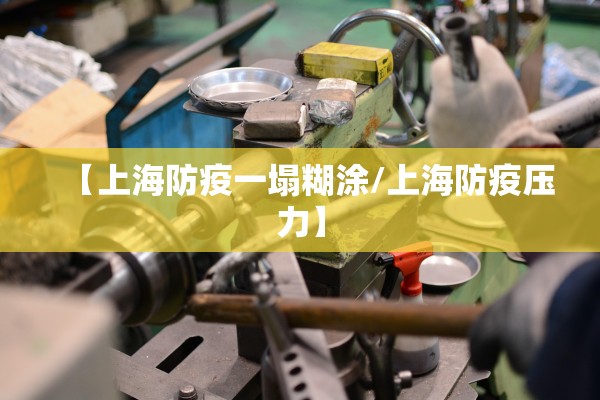 【上海防疫一塌糊涂/上海防疫压力】