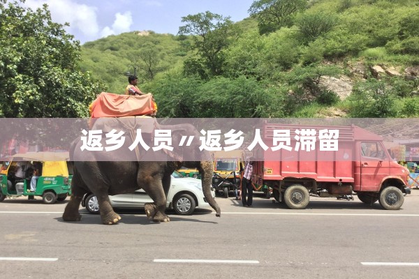 返乡人员〃返乡人员滞留