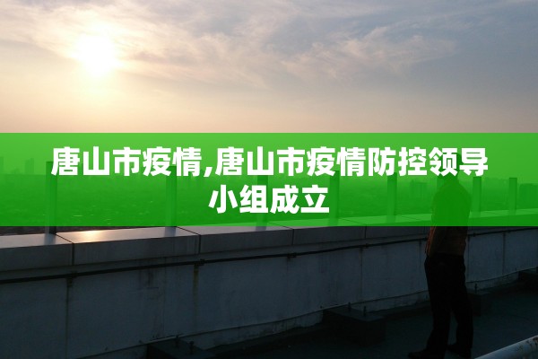 唐山市疫情,唐山市疫情防控领导小组成立