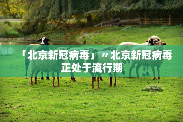 「北京新冠病毒」〃北京新冠病毒正处于流行期
