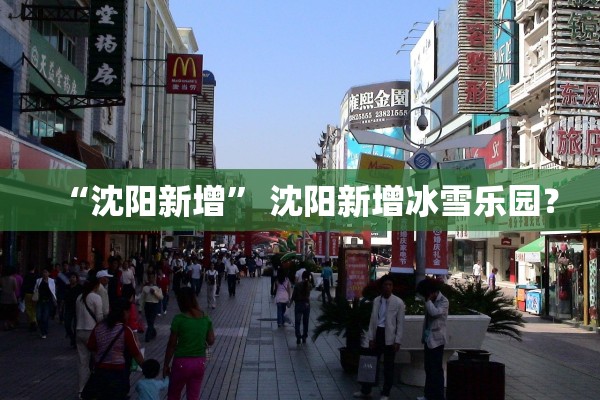 “沈阳新增	” 沈阳新增冰雪乐园？