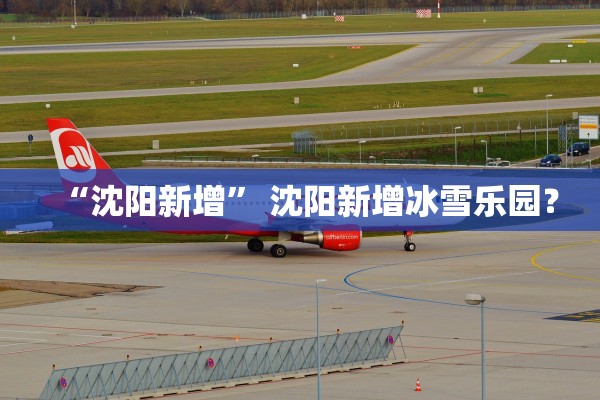 “沈阳新增” 沈阳新增冰雪乐园？