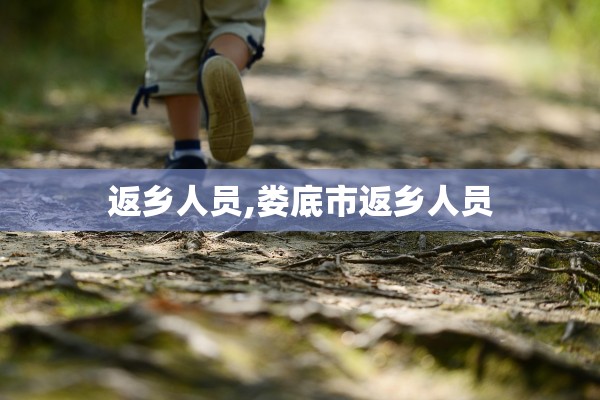 返乡人员,娄底市返乡人员