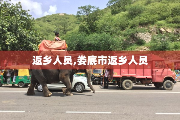 返乡人员,娄底市返乡人员