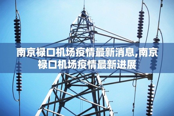 南京禄口机场疫情最新消息,南京禄口机场疫情最新进展