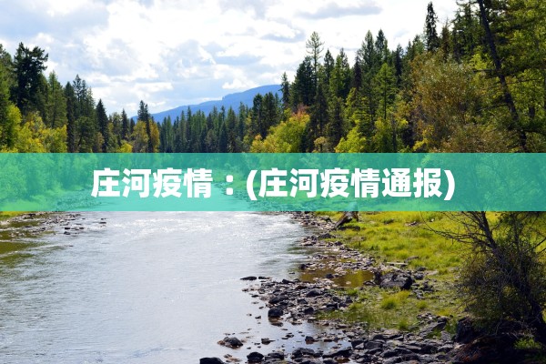 庄河疫情︰(庄河疫情通报)
