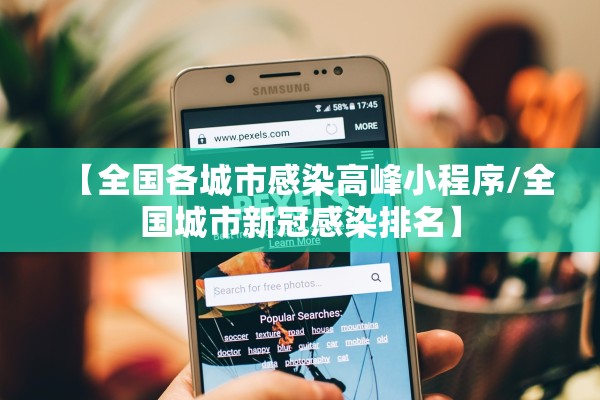 【全国各城市感染高峰小程序/全国城市新冠感染排名】