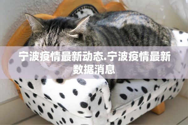 宁波疫情最新动态.宁波疫情最新数据消息