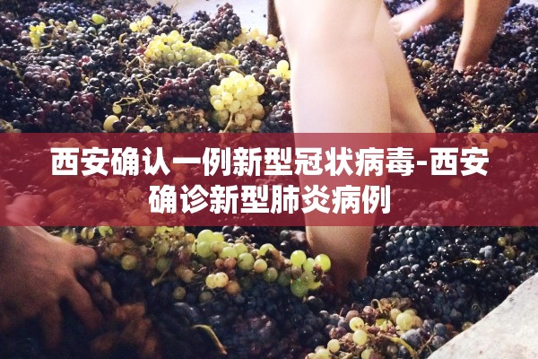 西安确认一例新型冠状病毒-西安确诊新型肺炎病例