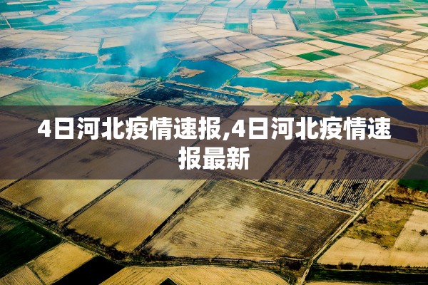 4日河北疫情速报,4日河北疫情速报最新