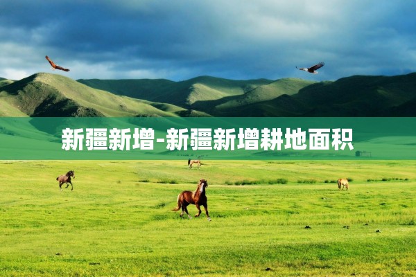 新疆新增-新疆新增耕地面积
