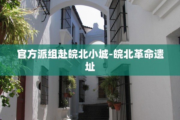 官方派组赴皖北小城-皖北革命遗址