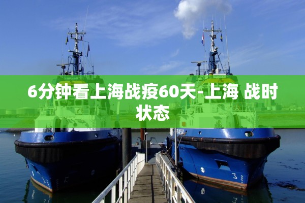 6分钟看上海战疫60天-上海 战时状态
