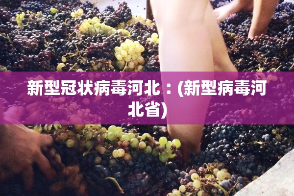 新型冠状病毒河北︰(新型病毒河北省)