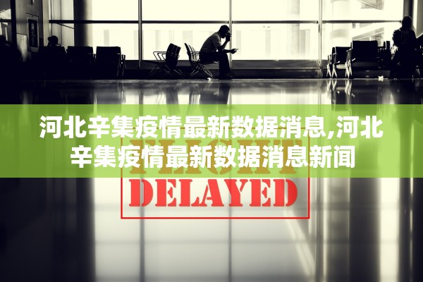 河北辛集疫情最新数据消息,河北辛集疫情最新数据消息新闻