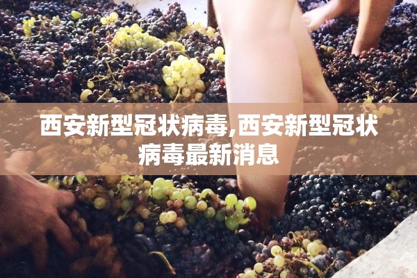 西安新型冠状病毒,西安新型冠状病毒最新消息