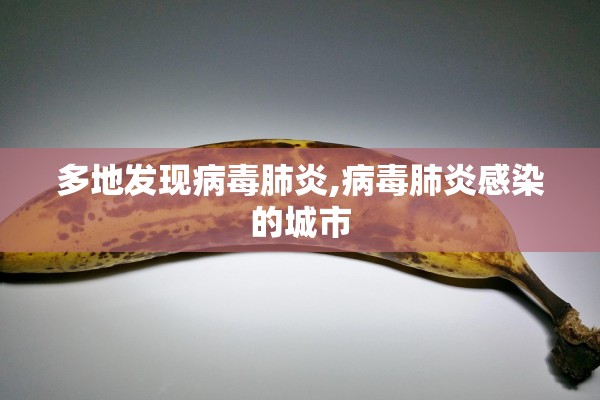多地发现病毒肺炎,病毒肺炎感染的城市