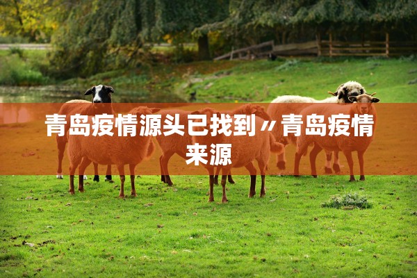 青岛疫情源头已找到〃青岛疫情来源
